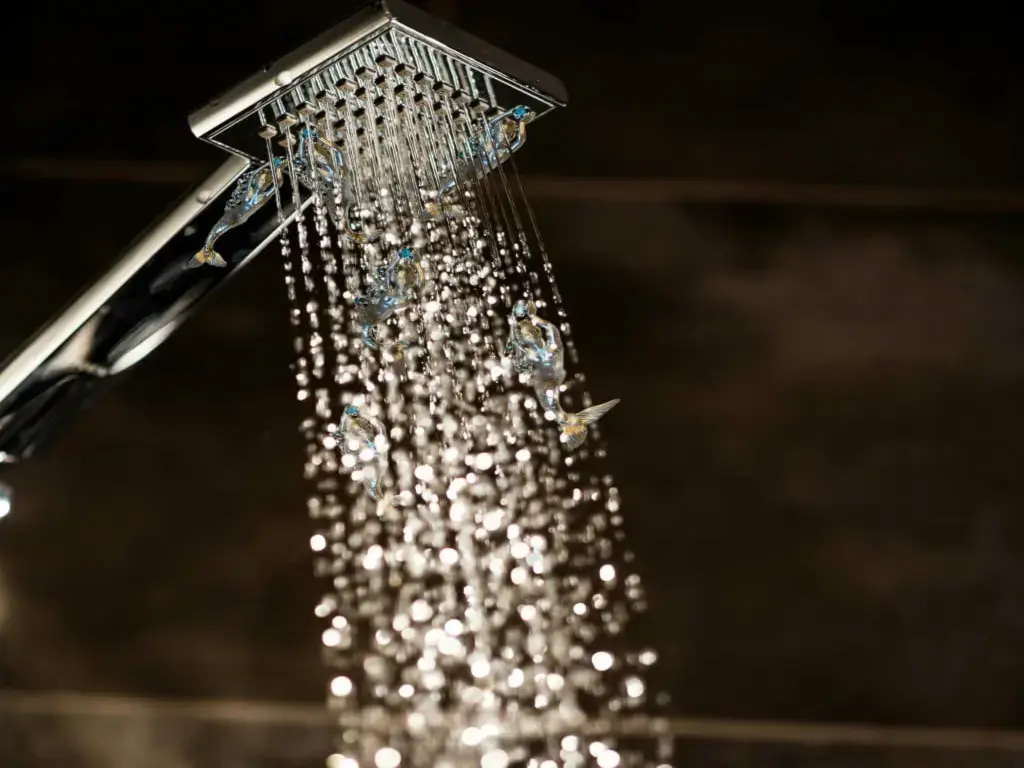 Lakewood Plumber Tankless Shower Fixture Blog